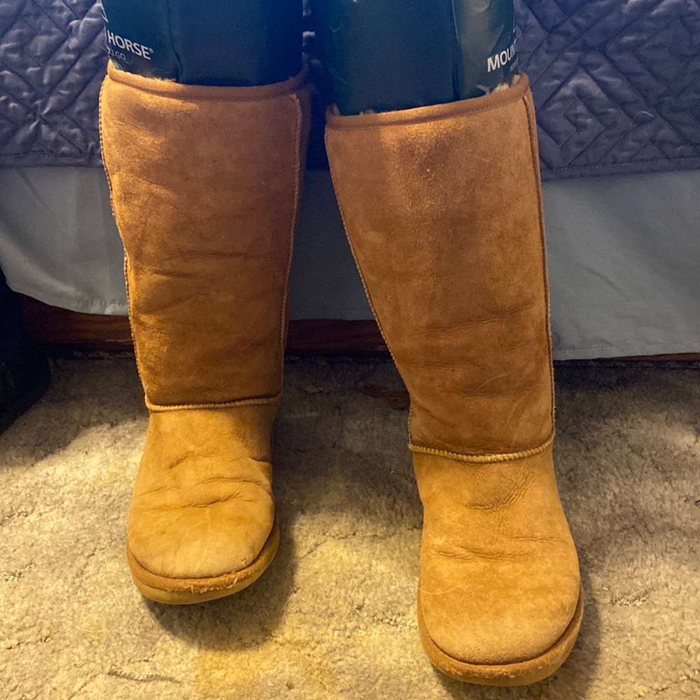 Tall chestnut Uggs